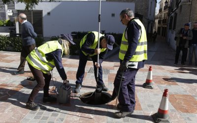 El Ayuntamiento de Lucena informa sobre el control de poblaciones de insectos y roedores