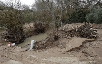 Agricultura trabaja en la recuperación de los caminos afectados por el temporal