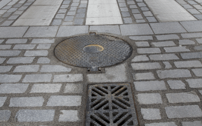 El Ayuntamiento de Lucena intensifica los trabajos de control de plagas