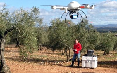 FIMART 2018 celebra en Lucena una jornada sobre la innovación tecnológica en el mundo agroalimentario