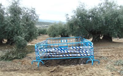 La Policía Local de Lucena sella un pozo sin medidas de seguridad