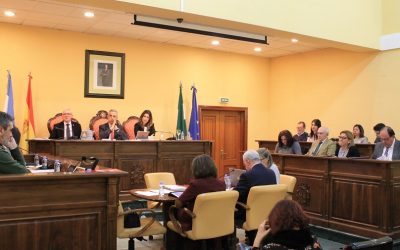 El Pleno aprueba las distinciones a entregar el Día de Andalucía