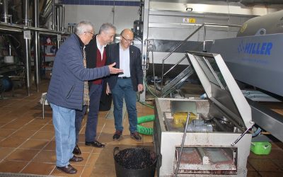 El Ayuntamiento y la DOP Aceite de Lucena renovarán su convenio de colaboración