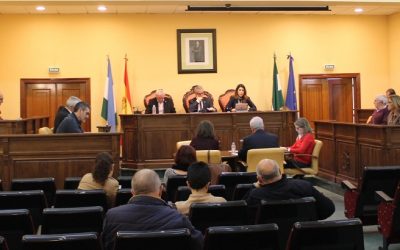 El Pleno sanciona a Servisar con 8.000 euros