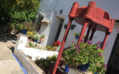 Vecinos de Lucena podrán visitar Patios de Bodega en Montilla