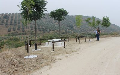 El Ayuntamiento habilita una nueva área de descanso junto al río Anzur en el Camino Mozárabe