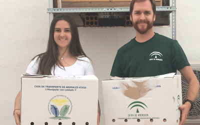 Medio Ambiente pone en funcionamiento el hacking