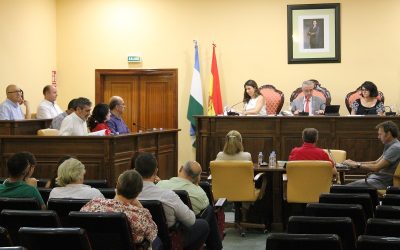 El Pleno anula la autorización de actividad al mercadillo privado de Los Polvillares