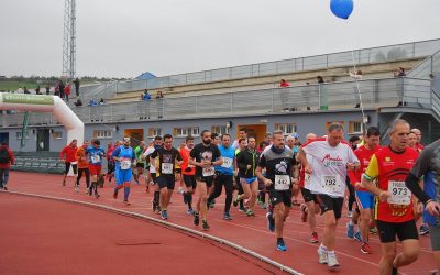 Doce clubes de Lucena reciben ayudas de la convocatoria anual del Servicio Deportivo Municipal