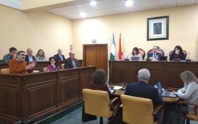El Ayuntamiento de Lucena se adhiere al Manifiesto contra la violencia de género aprobado por las Diputaciones Andaluzas con motivo del 25N
