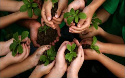 Medio Ambiente se suma a las acciones contra el cambio climático