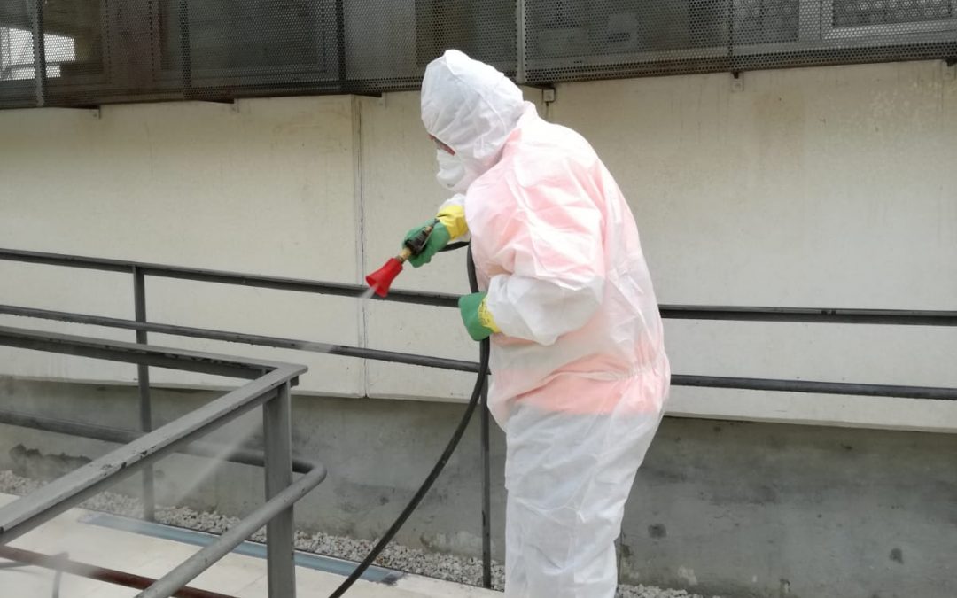 El Ayuntamiento de Lucena practica test rápidos de coronavirus a sus empleados esenciales  1