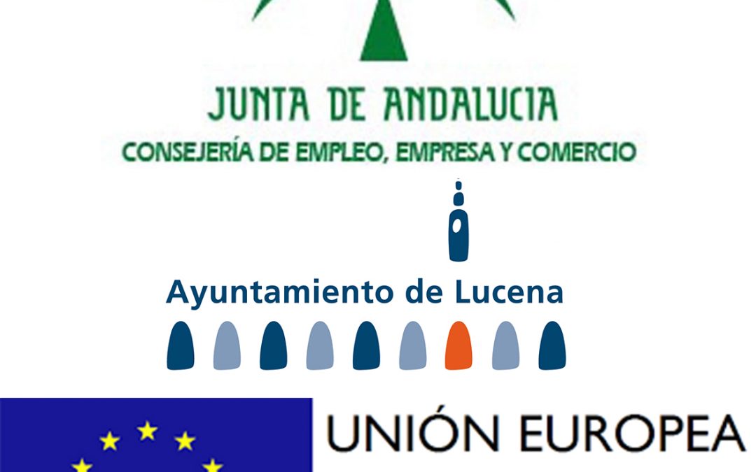 Finalización de los proyectos de la Iniciativa de Cooperación Local en el marco del Programa de Fomento del Empleo Industrial y Medidas de Inserción Laboral en Andalucía 1