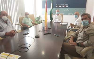 Comienzan los preparativos para una campaña de recogida de la aceituna en Lucena marcada por las medidas anti-Covid