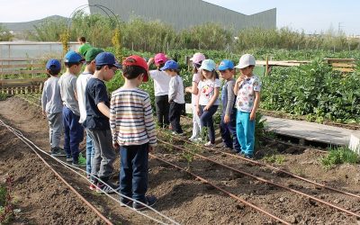 Adjudicada la redacción del plan municipal de huertos urbanos