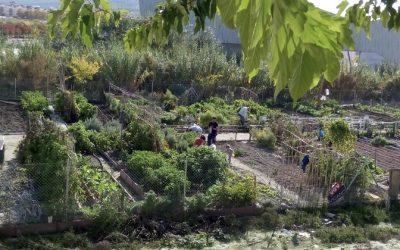 Convocado el concurso de diseño del logotipo de la Red de Huertos Urbanos