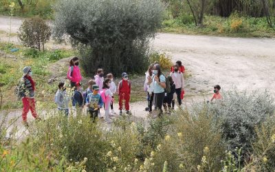 El Aula de la Naturaleza retoma las ludotecas ambientales