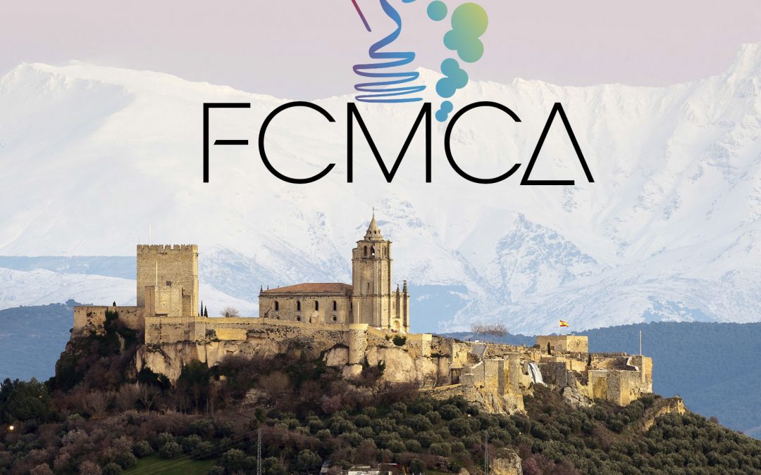 Lucena participará en el I Foro Ciudades Medias del Centro de Andalucía, entes de gestión en la regeneración turística 1