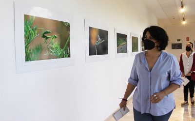 La esencia de la naturaleza de Lucena en 40 fotografías