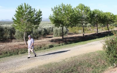 Plantación de árboles, creaciones artísticas y feria de las asociaciones completan la agenda lúdica de las Navas