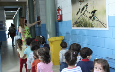 Una exposición sobre la biodiversidad de Lucena visita los colegios e institutos