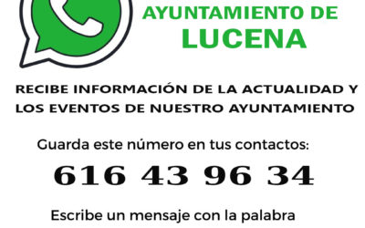 Canal WhatsApp Municipal