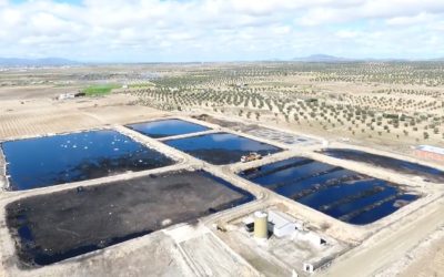 AEMO inicia en Lucena unas jornadas sobre la recuperación de balsas de alpechín