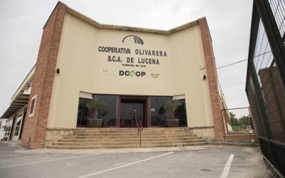 Ayuntamiento y Cooperativa Olivarera de Lucena refuerzan la formación de los trabajadores del campo