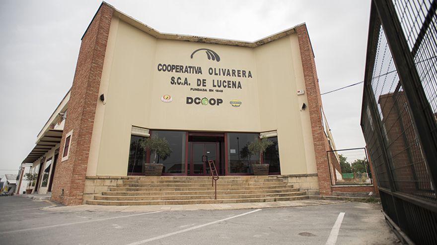 Ayuntamiento y Cooperativa Olivarera de Lucena refuerzan la formación de los trabajadores del campo