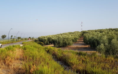 El Ayuntamiento de Lucena licita en 780.000 euros las obras del soterramiento de la línea eléctrica en la zona del hospital
