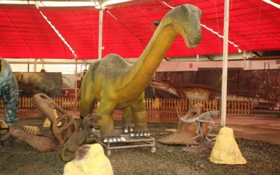 Para aprender del mundo de los dinosaurios en familia