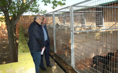 El Ayuntamiento de Lucena adjudica el nuevo contrato de recogida y control de animales