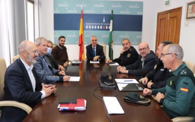 Activado el sistema especial de vigilancia para la campaña de la aceituna