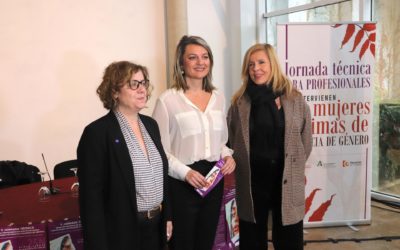 Destacan como “imprescindible” la formación de los profesionales que intervienen en casos de violencia de género