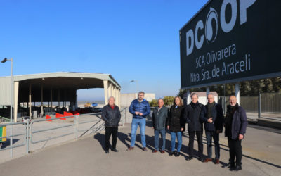 El Ayuntamiento de Lucena alaba el afán transformador de la Cooperativa Nuestra Señora de Araceli