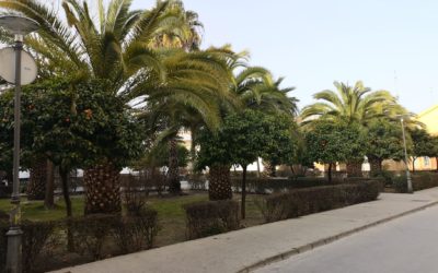 El viario municipal recordará a Enrique Cuenca López, José Luis Huertas Campos y Juan Romero Cruz