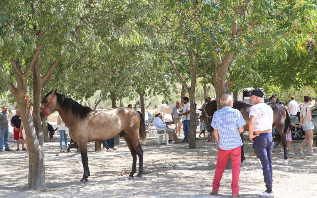 La Feria del Ganado reúne a cientos de aficionados al mundo del caballo en la vía verde