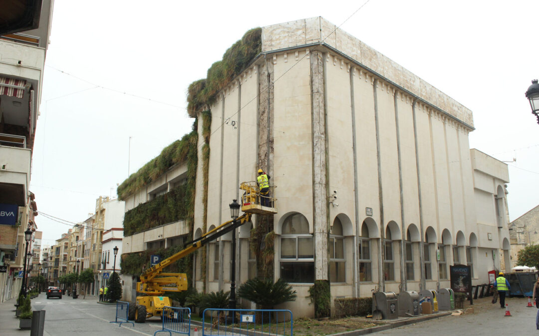 El Ayuntamiento de Lucena inicia la retirada del jardín vertical de la casa consistorial