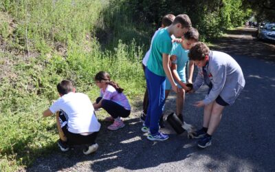 Escolares y usuarios de la Asociación de Alzheimer participan en una replantación de árboles en la Vía Verde de Lucena