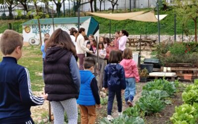 30 niños aprenden jugando en la naturaleza