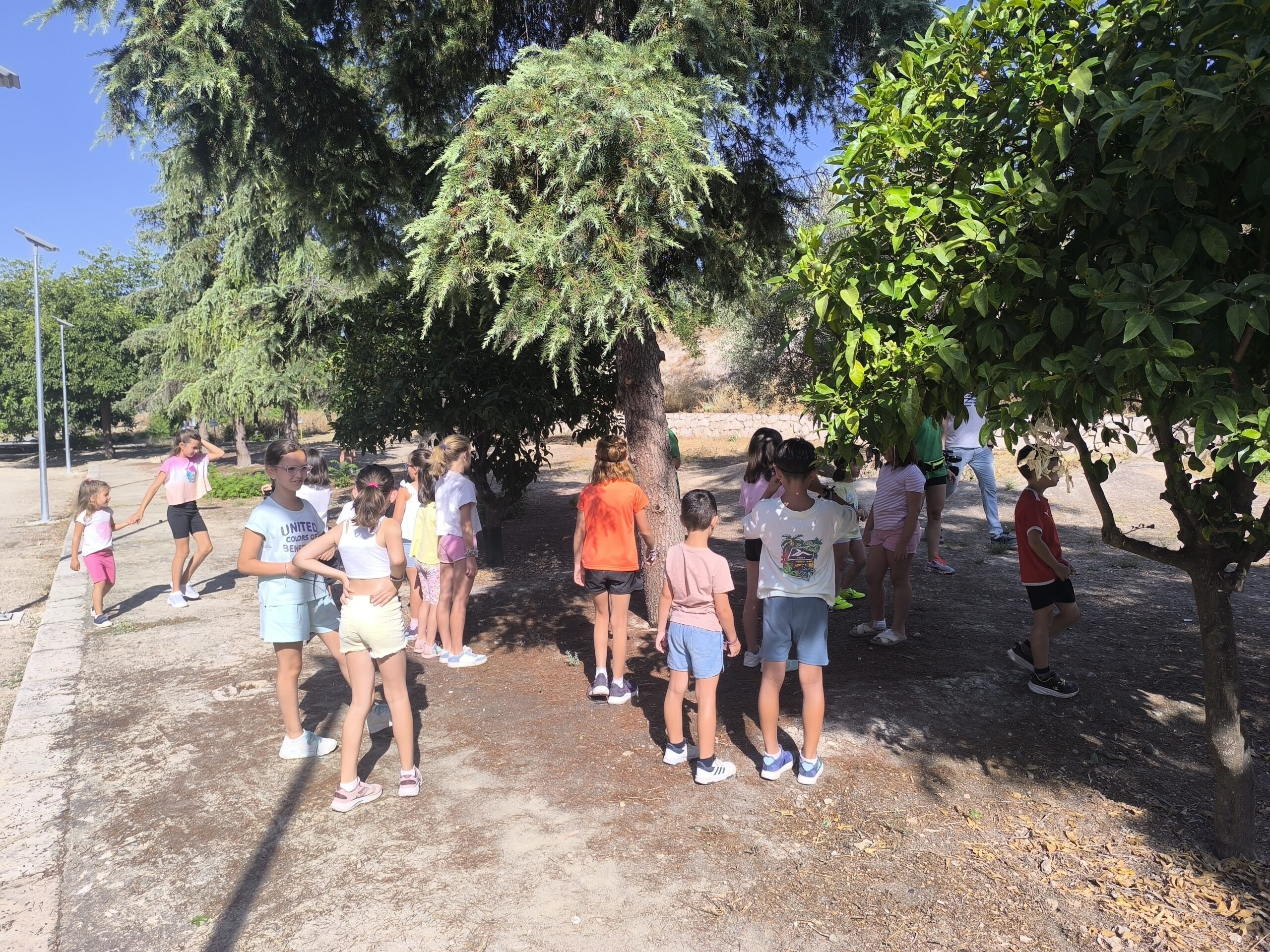 Vuelve el Aula de Verano con cinco semanas para aprender jugando