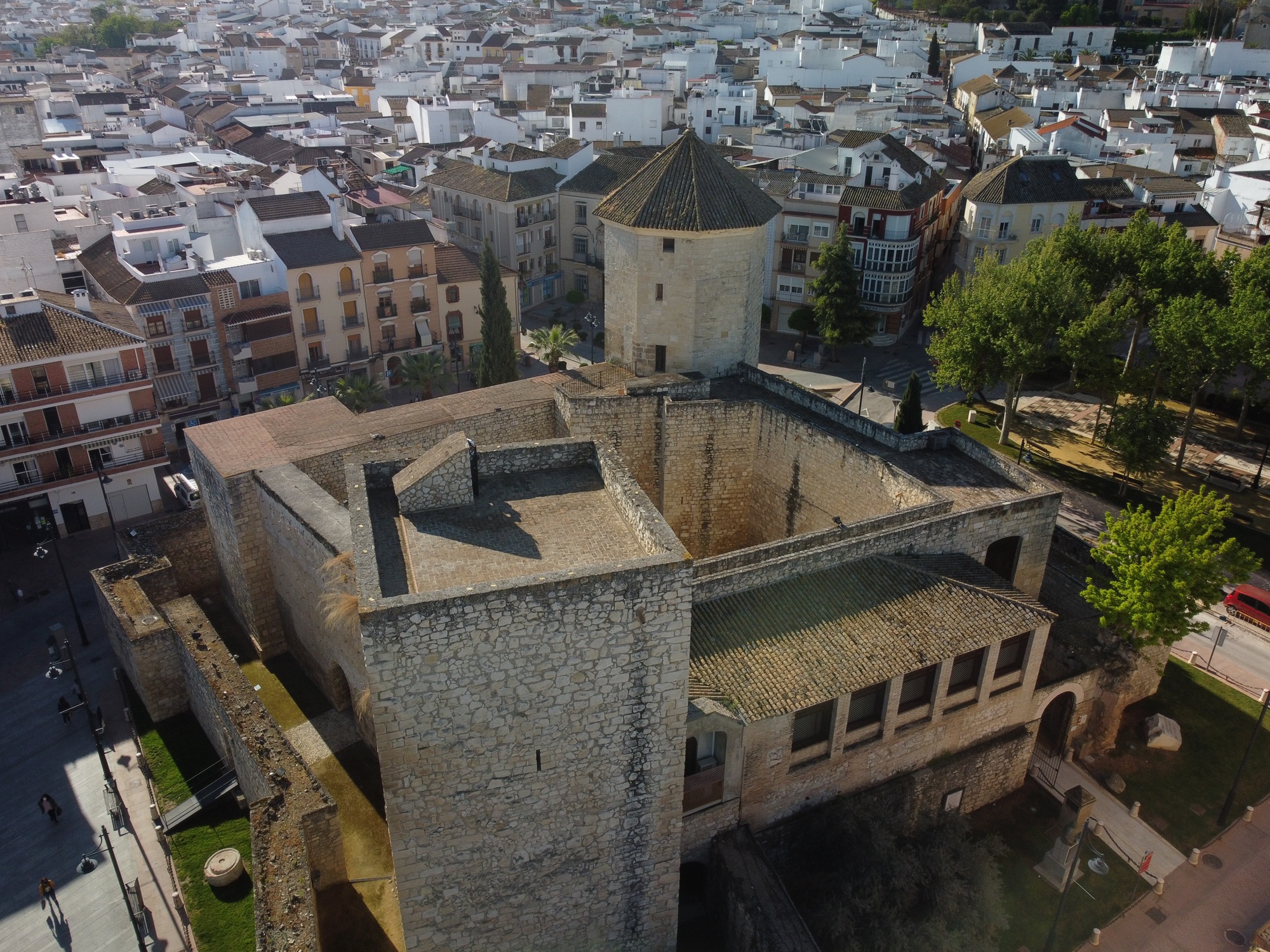 Castillo del Moral